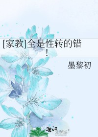 [家教] 全是性转的错